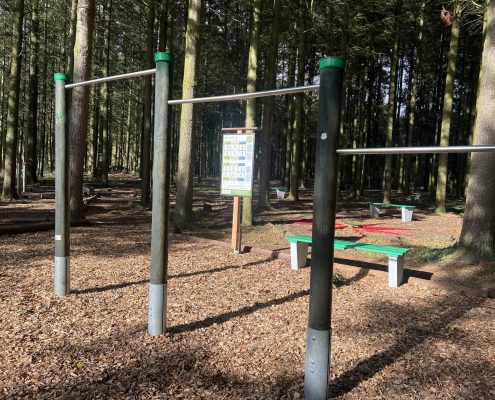 STERNBERG 2025 Workation Trainingspark