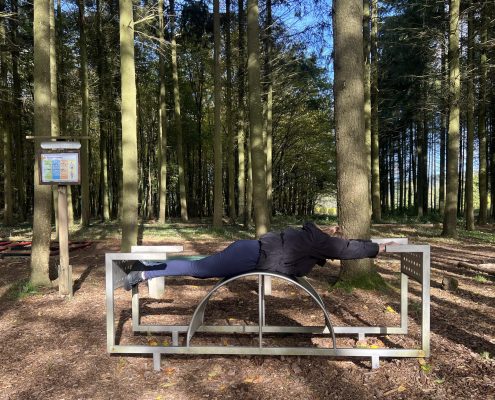 STERNBERG Workation Rückenstrecker